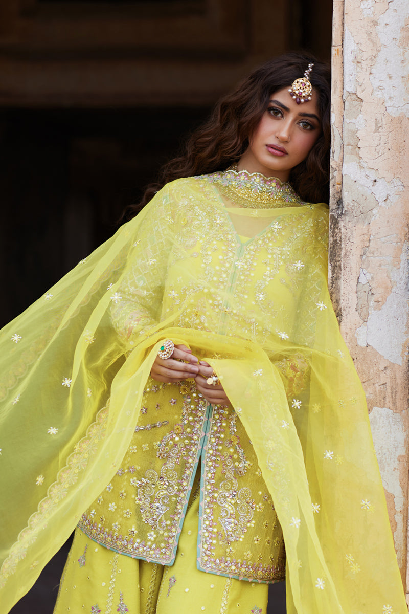 Dania - Shadmani Luxury Formals - Qalamkar