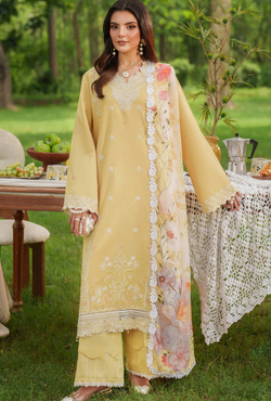 Golden Dust 10 - Eden Cambric - Asifa & Nabeel