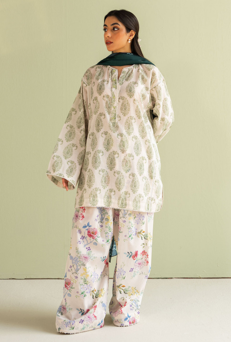 Paisley - 06B -  Coco Prints Jan `25 - Zara Shahjahan