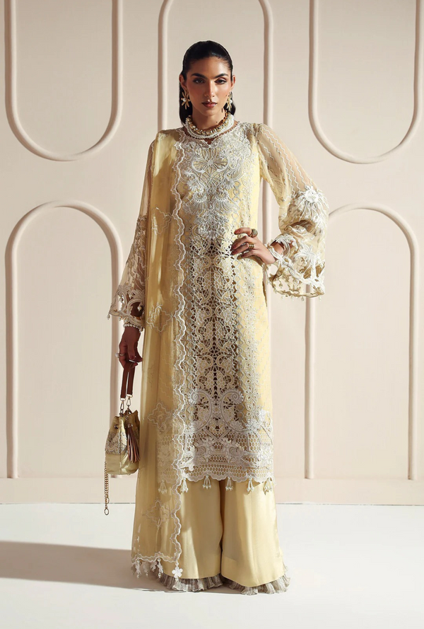 Aira - Aymal bamber Chiffon - Alizeh
