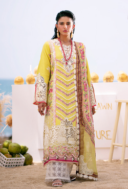 Sunset - Dastan Luxury Lawn `25 - AJR