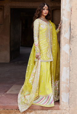 Dania - Shadmani Luxury Formals - Qalamkar