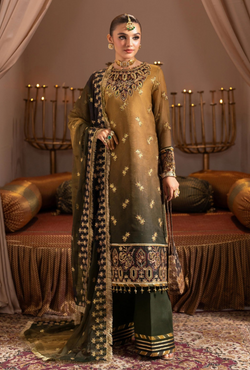 D6 Zabreen - Jhalak Formals`24 - Alizeh