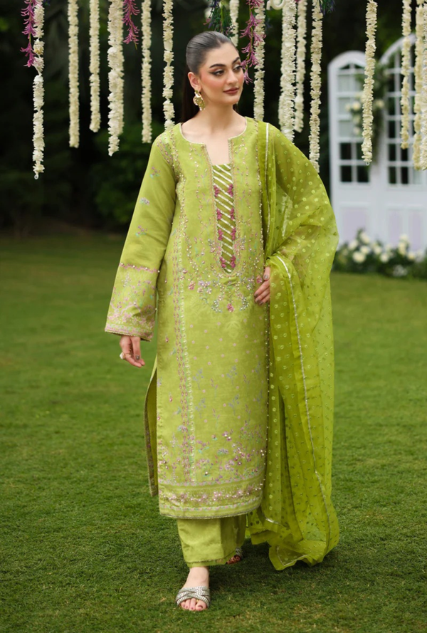 Radin - Luxury Silk Printed - Rang Rasiya