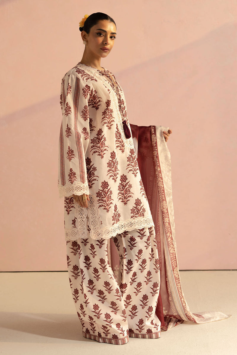 Amari - 01B - Coco Prints Jan `25 - Zara Shahjahan