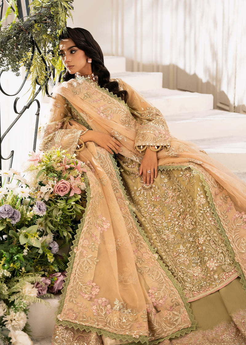 BREWING-MATCHA - Luxury Wedding Formals'24 - Inayat