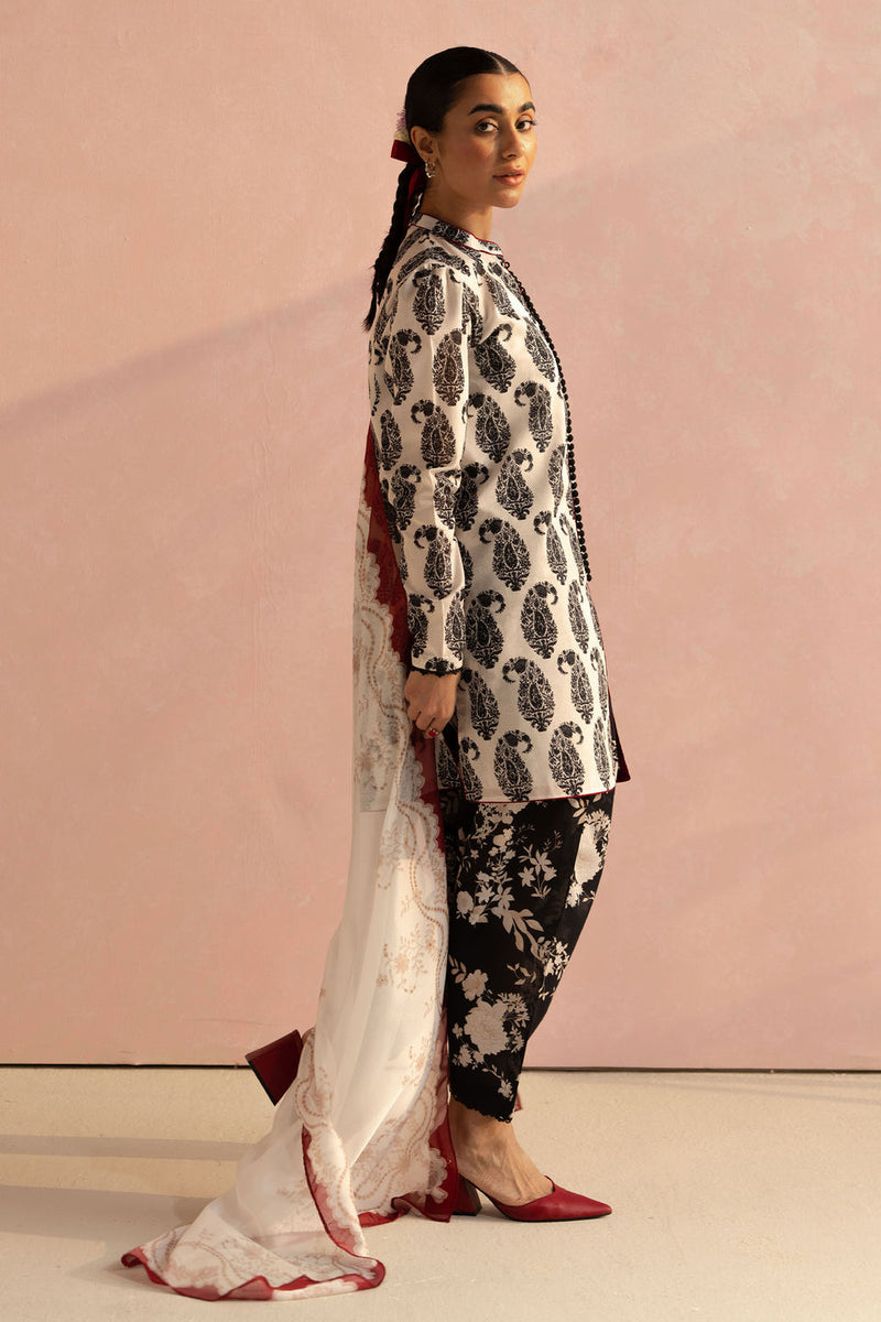 Paisley - 06A -  Coco Prints Jan `25 - Zara Shahjahan