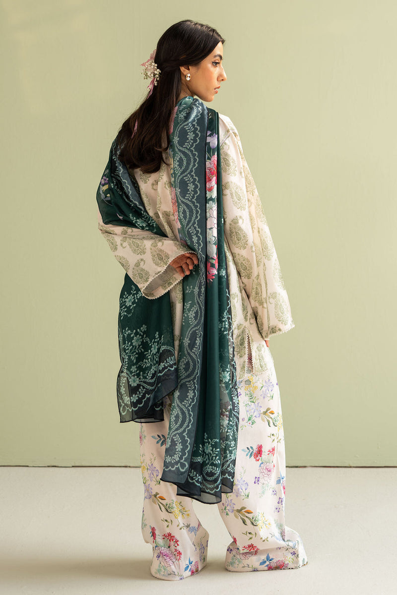 Paisley - 06B -  Coco Prints Jan `25 - Zara Shahjahan