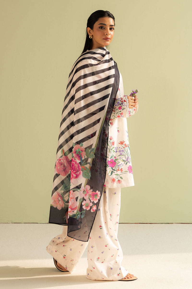 Reena - 04B -  Coco Prints Jan `25 - Zara Shahjahan