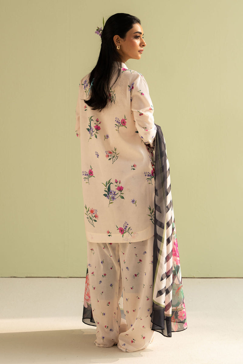 Reena - 04B -  Coco Prints Jan `25 - Zara Shahjahan