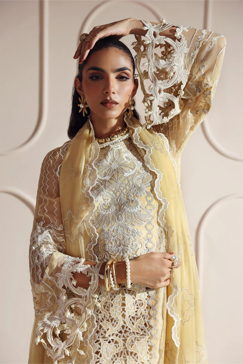 Aira - Aymal bamber Chiffon - Alizeh
