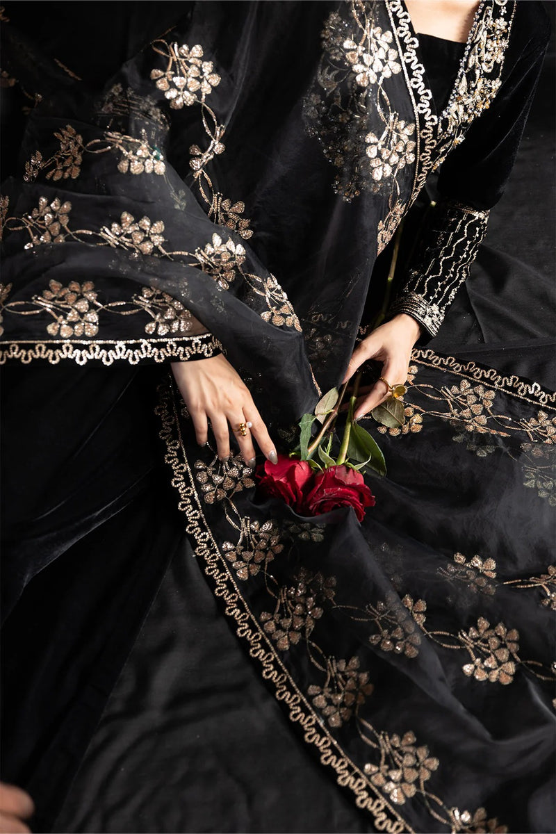 D 05 - Lamour Luxury  Velvet Collection - Alizeh