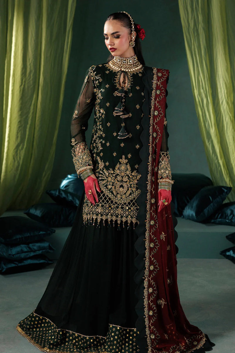 D 03 - Panache Luxury Chiffon'25 - Saad Shaikh