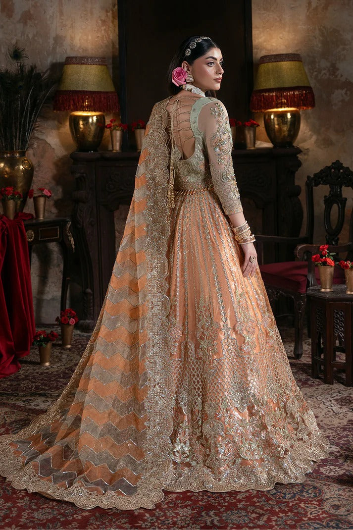 IB-56 Sitarah - Noor e Naaz Bridal Collection - Imrozia