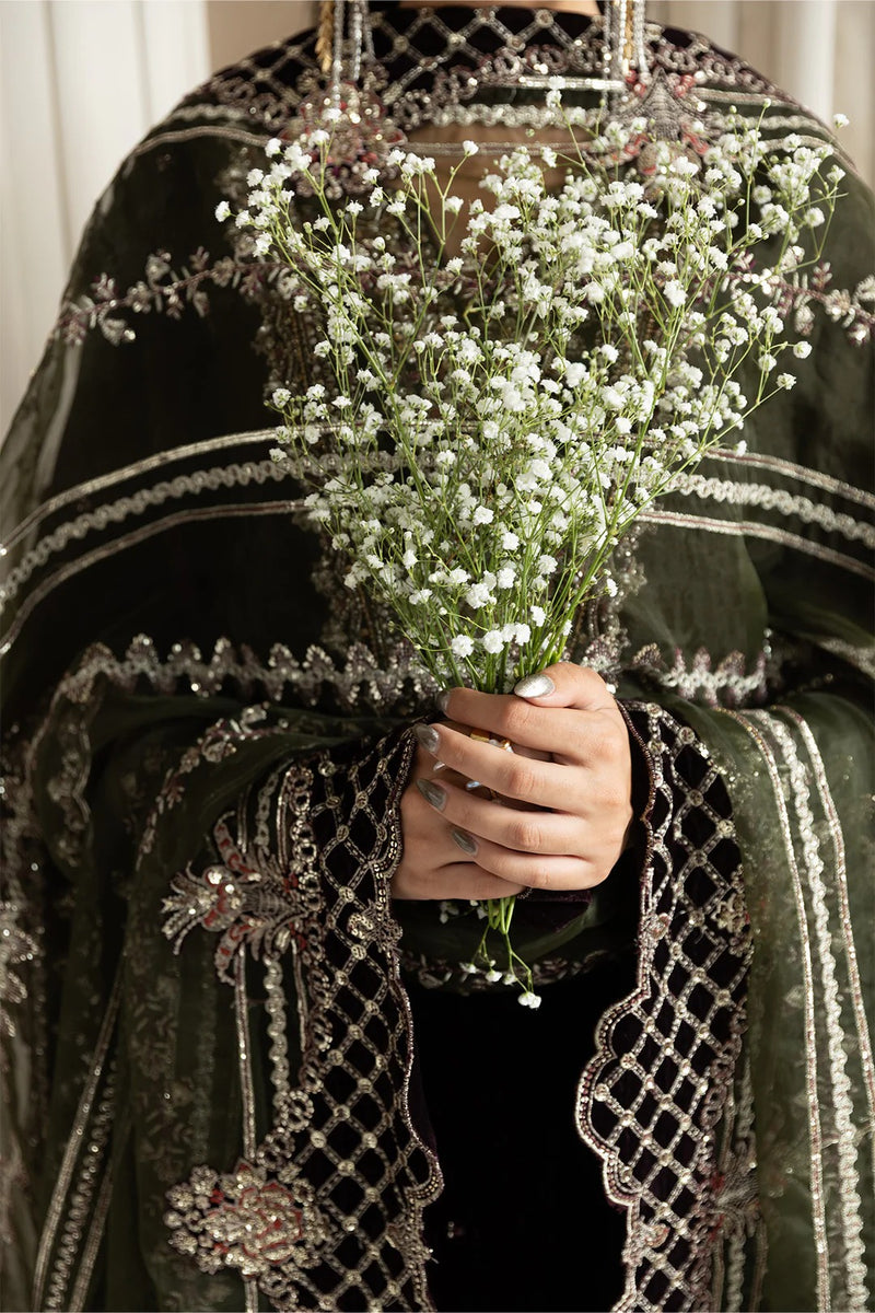 D 06 - Lamour Luxury  Velvet Collection - Alizeh