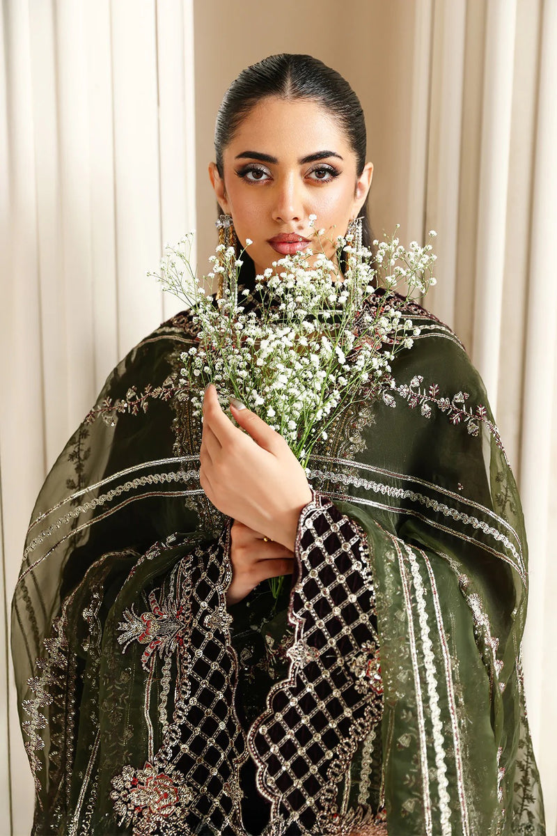 D 06 - Lamour Luxury  Velvet Collection - Alizeh