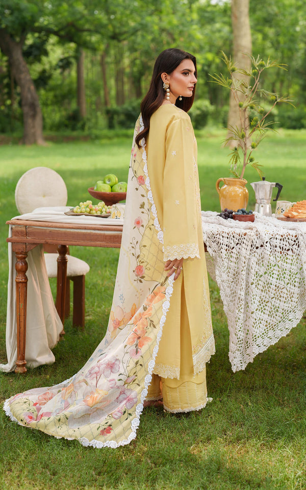 Golden Dust 10 - Eden Cambric - Asifa & Nabeel