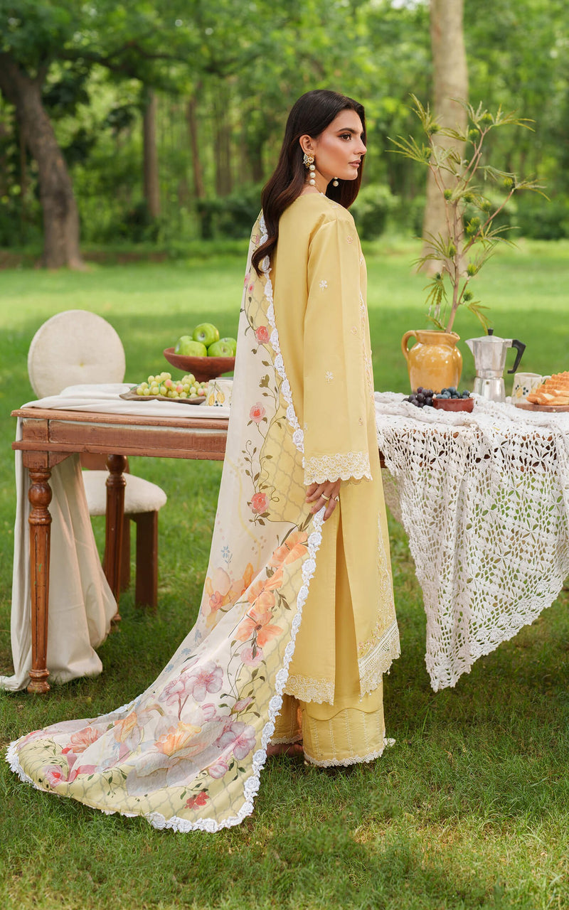 Golden Dust 10 - Eden Cambric - Asifa & Nabeel