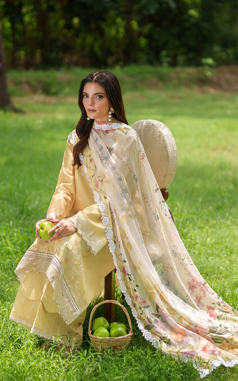 Golden Dust 10 - Eden Cambric - Asifa & Nabeel