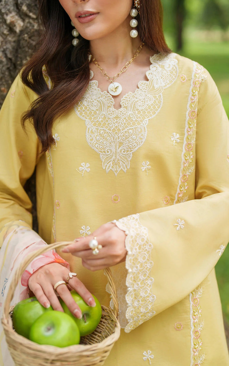 Golden Dust 10 - Eden Cambric - Asifa & Nabeel