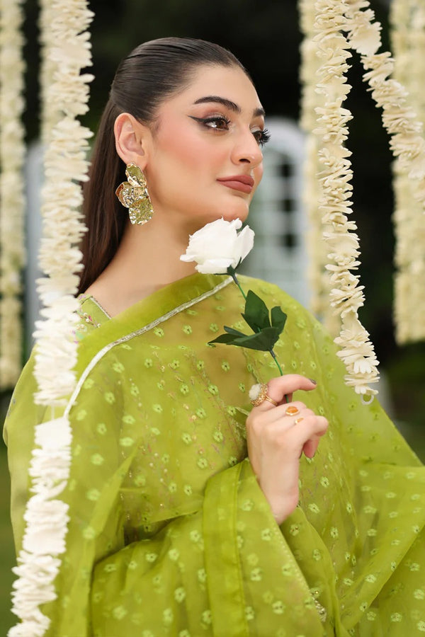 Radin - Luxury Silk Printed - Rang Rasiya