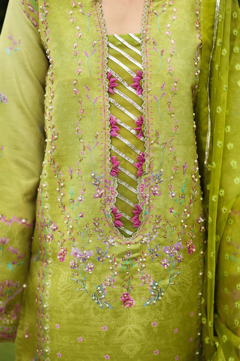 Radin - Luxury Silk Printed - Rang Rasiya