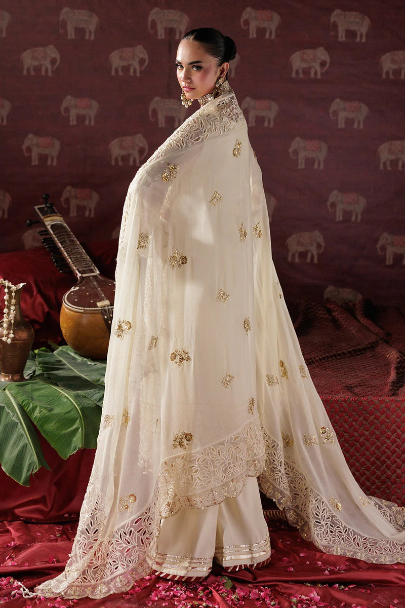 D 10 - Panache Luxury Chiffon'25 - Saad Shaikh