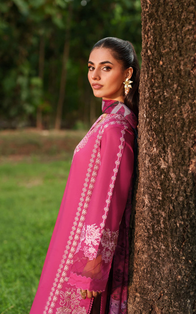 Pink Reverie 06 - Eden Cambric - Asifa & Nabeel