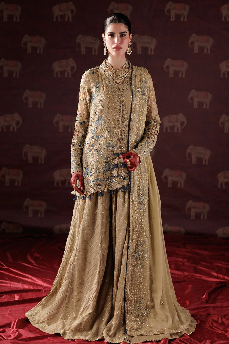 D 05 - Panache Luxury Chiffon'25 - Saad Shaikh