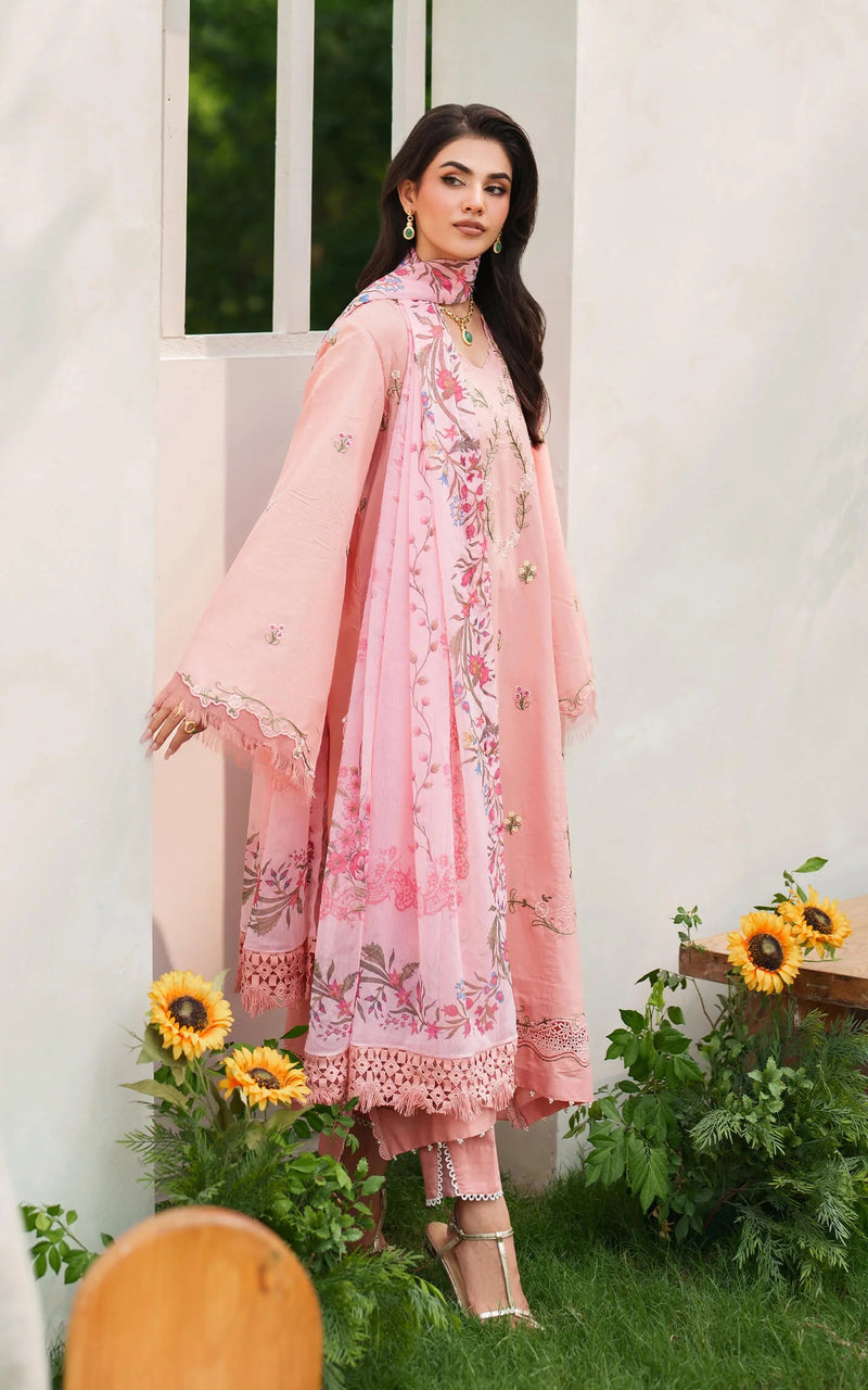 Serene Blush 01 - Eden Cambric - Asifa & Nabeel