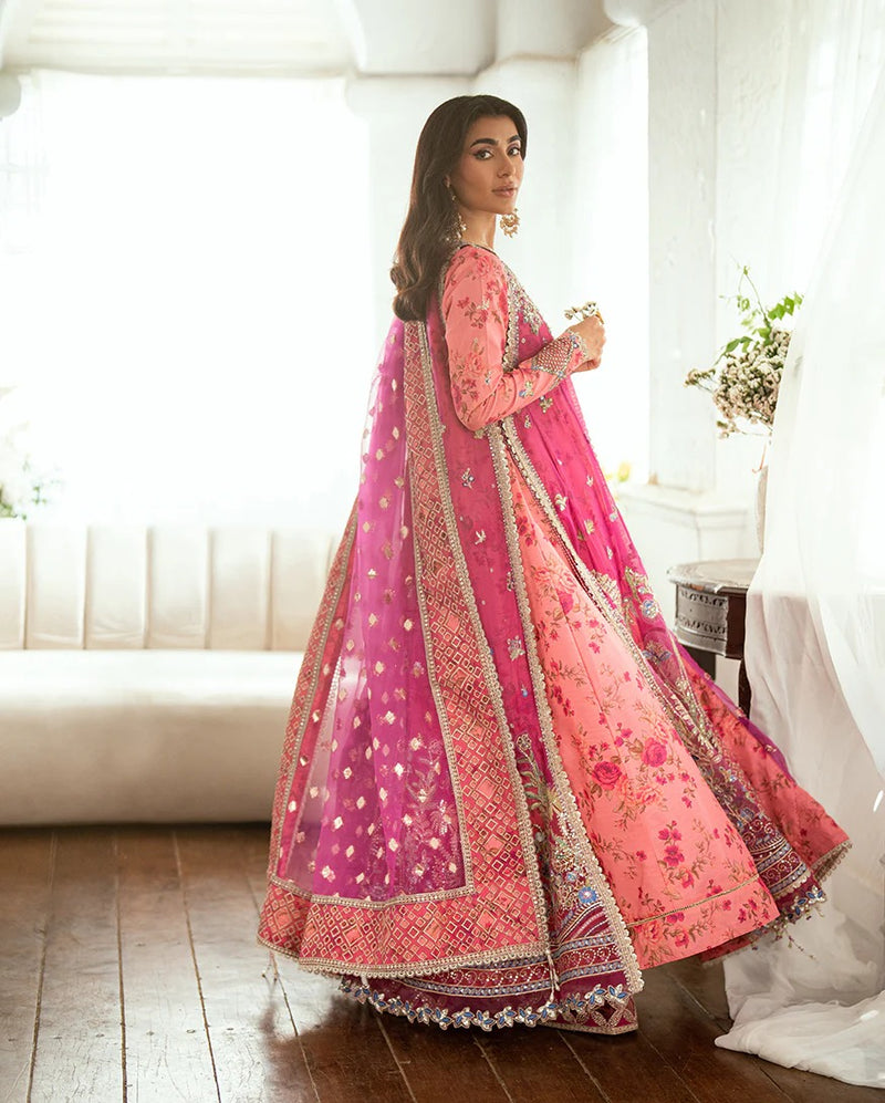 Geet Gulabi - Sham Shandaar Chiffon - Mushq