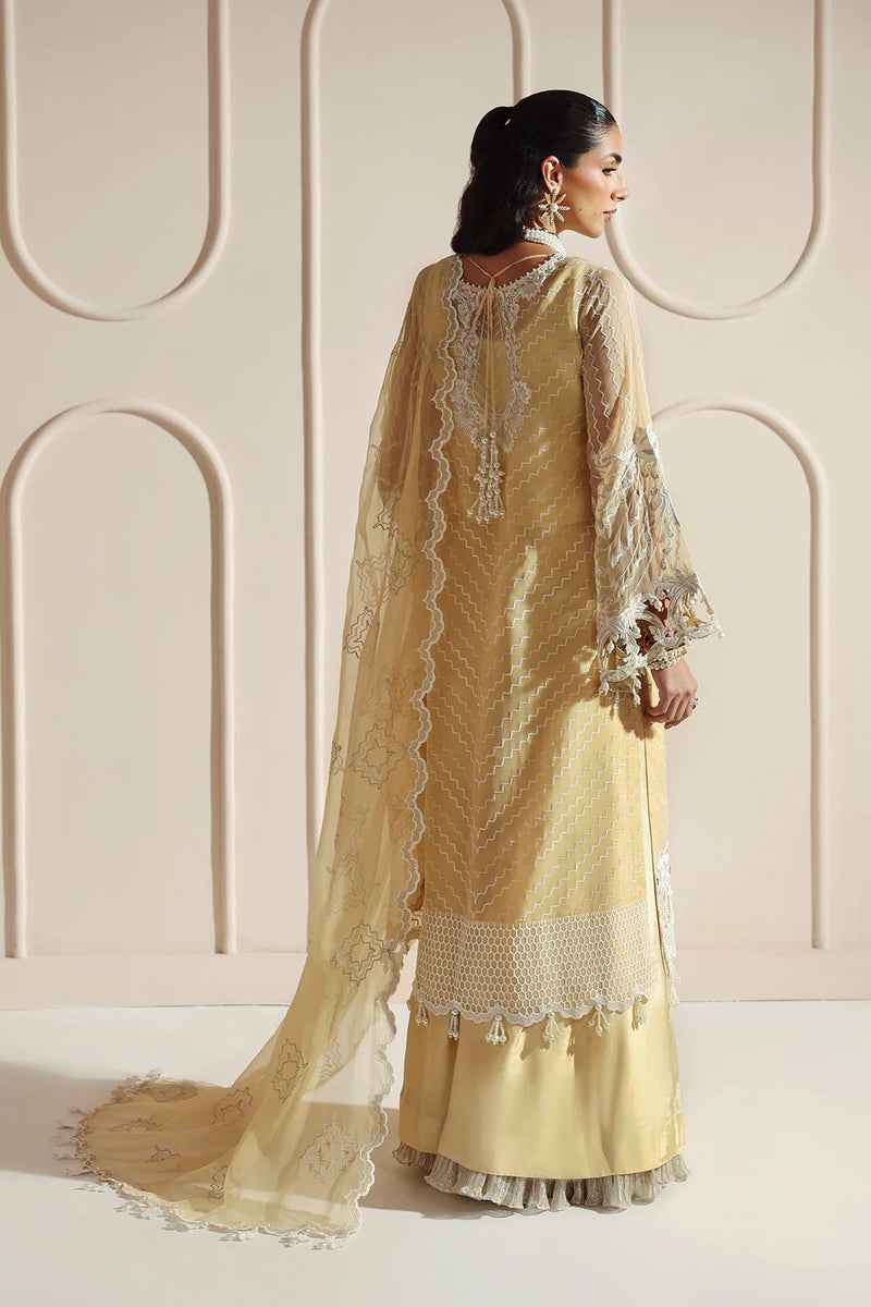 Aira - Aymal bamber Chiffon - Alizeh
