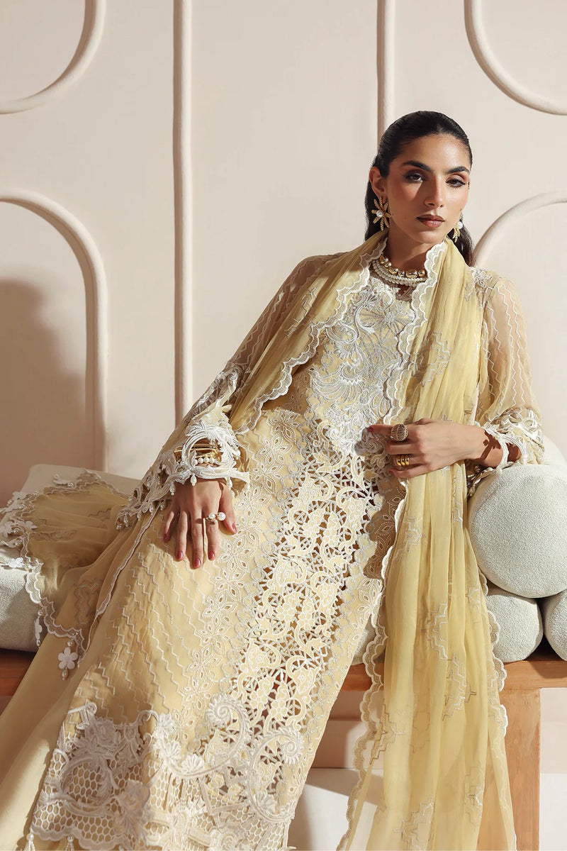 Aira - Aymal bamber Chiffon - Alizeh